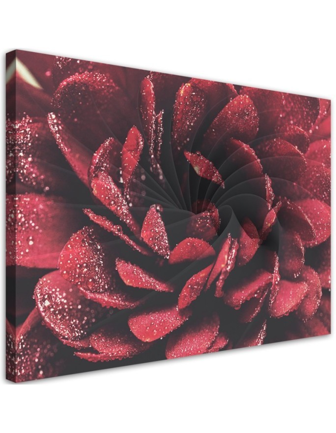 Dekoratives Leinwandbild - Makroblume | Feeby