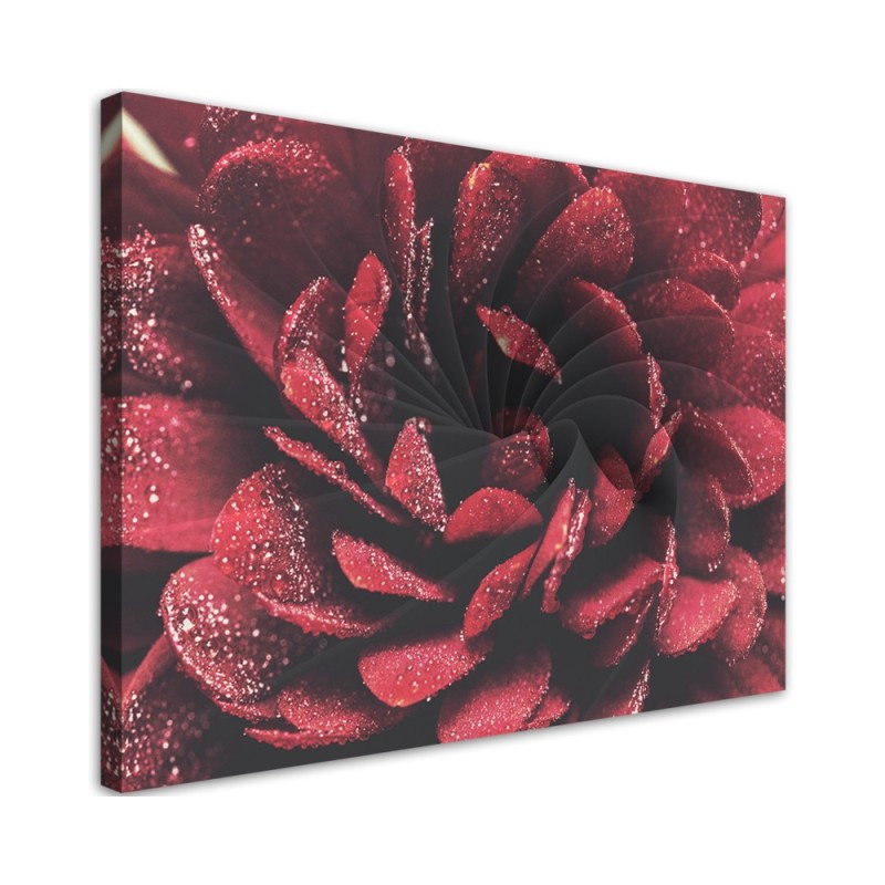 Dekoratives Leinwandbild - Makroblume | Feeby