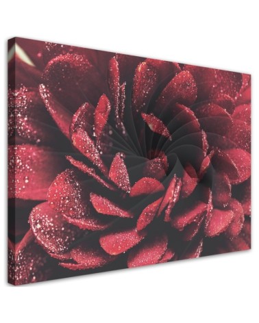 Red macro flower - Canvas art painting | FEEBY