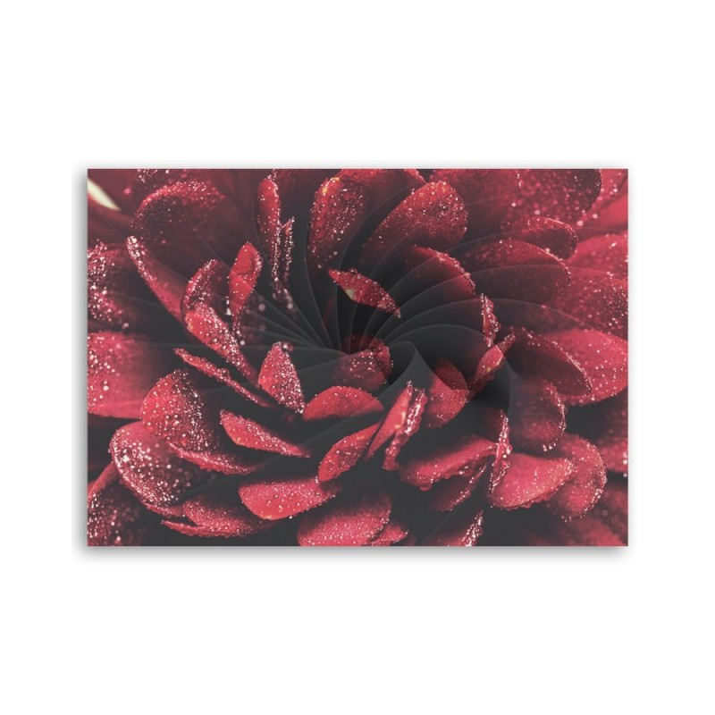 Dekoratives Leinwandbild - Makroblume | Feeby