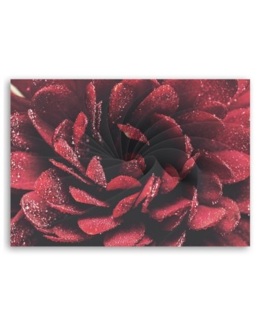 Dekoratives Leinwandbild - Makroblume | Feeby