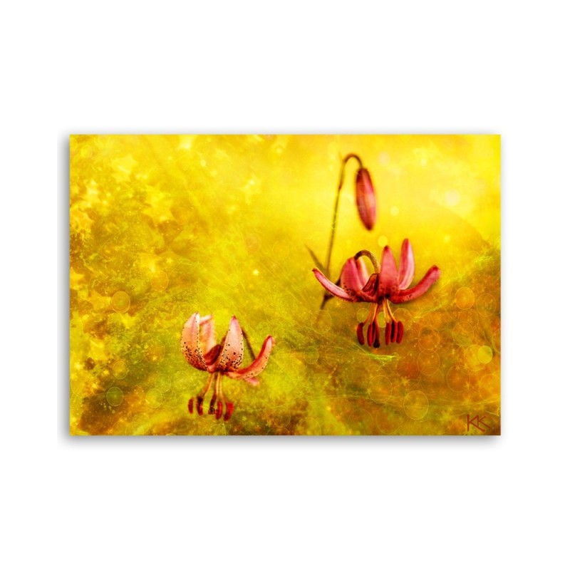 Bild auf Leinwand - Tulpenblüten Natur Gelb | Feeby