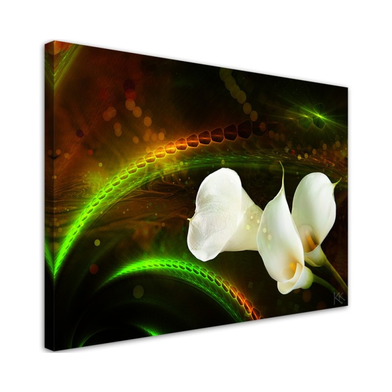 Leinwandbild - Kalien Blumen Pflanzen | Feeby