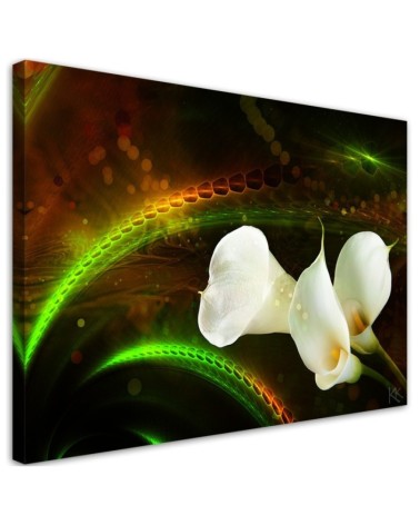 White calla flower plant nature - Modern Canvas painting for living room | FEEBY