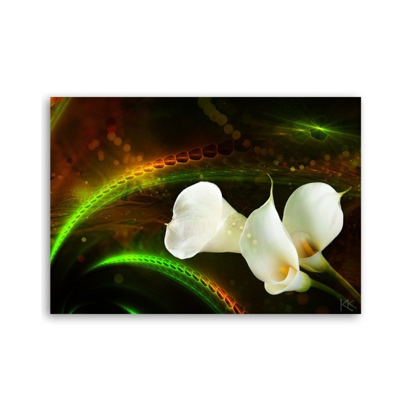 Leinwandbild - Kalien Blumen Pflanzen | Feeby