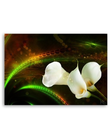 Leinwandbild - Kalien Blumen Pflanzen | Feeby