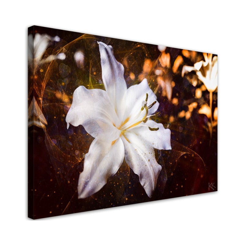 Bild auf Leinwand - Weiße Lilie auf braunem Hintergrund | Feeby