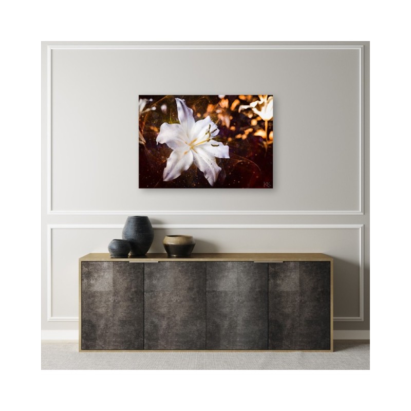 Bild auf Leinwand - Weiße Lilie auf braunem Hintergrund | Feeby
