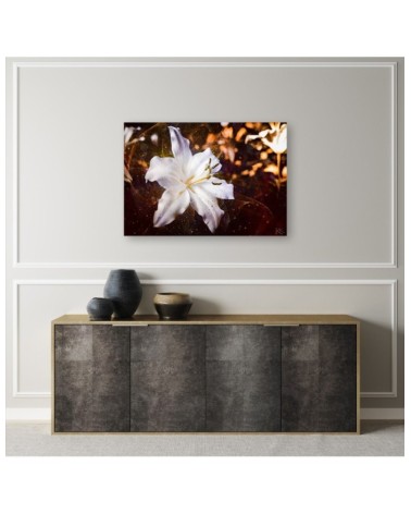 Bild auf Leinwand - Weiße Lilie auf braunem Hintergrund | Feeby