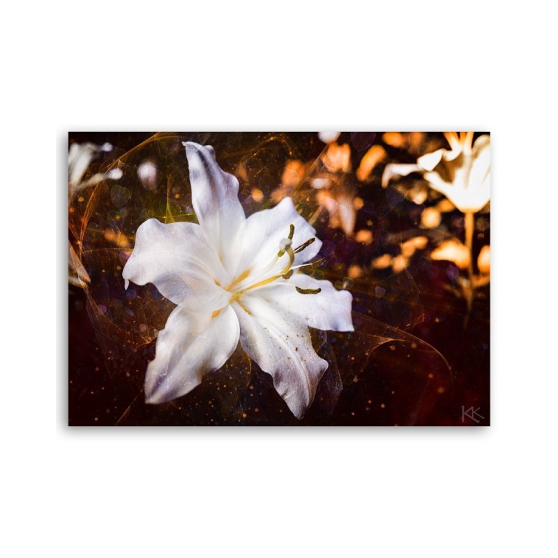 Bild auf Leinwand - Weiße Lilie auf braunem Hintergrund | Feeby