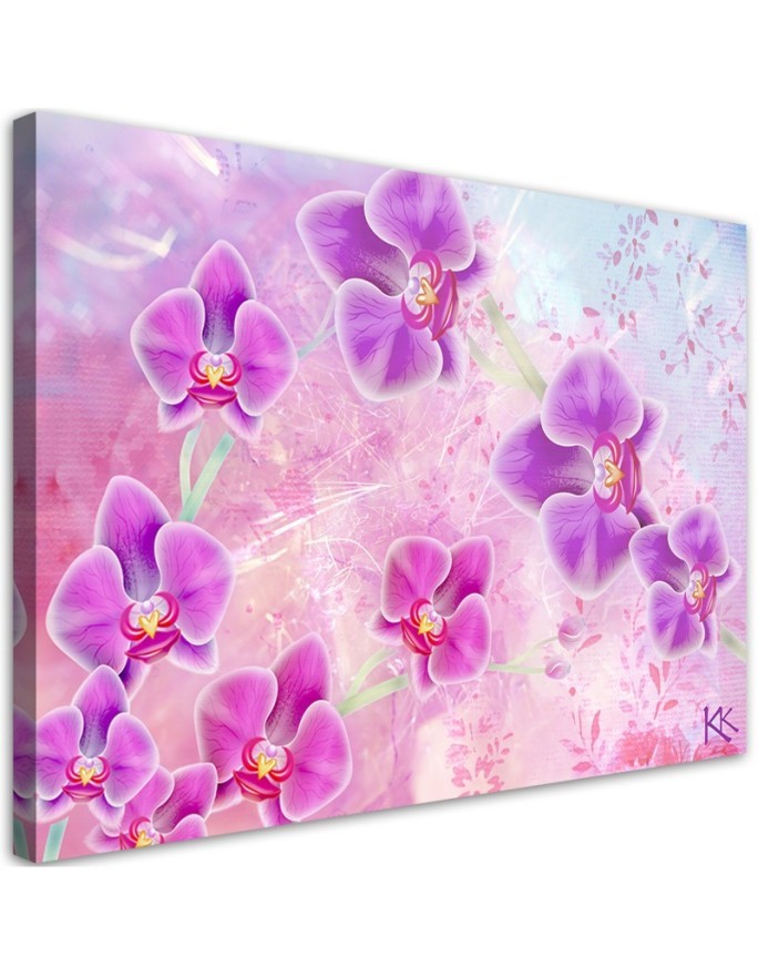 Orchidea Kwiaty Abstrakcja - Nowoczesny obraz na ścianę | FEEBY