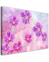 Orchidea Kwiaty Abstrakcja - Nowoczesny obraz na ścianę | FEEBY