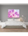 Orchidea Kwiaty Abstrakcja - Nowoczesny obraz na ścianę | FEEBY