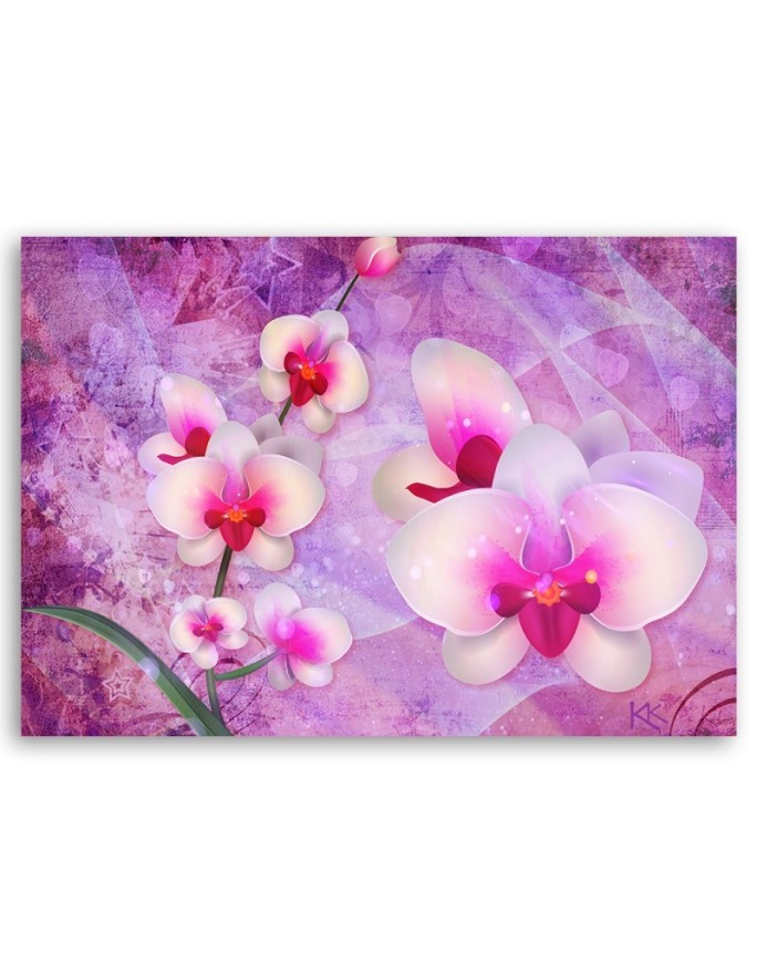 Orchidea Kwiaty Abstrakcja - Obraz ścienny do salonu | FEEBY