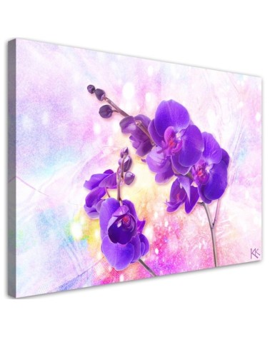 Purple orchid flower - Pictures on Canvas for living room | FEEBY