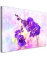 Fioletowy kwiat orchidei - Obraz do salonu | FEEBY