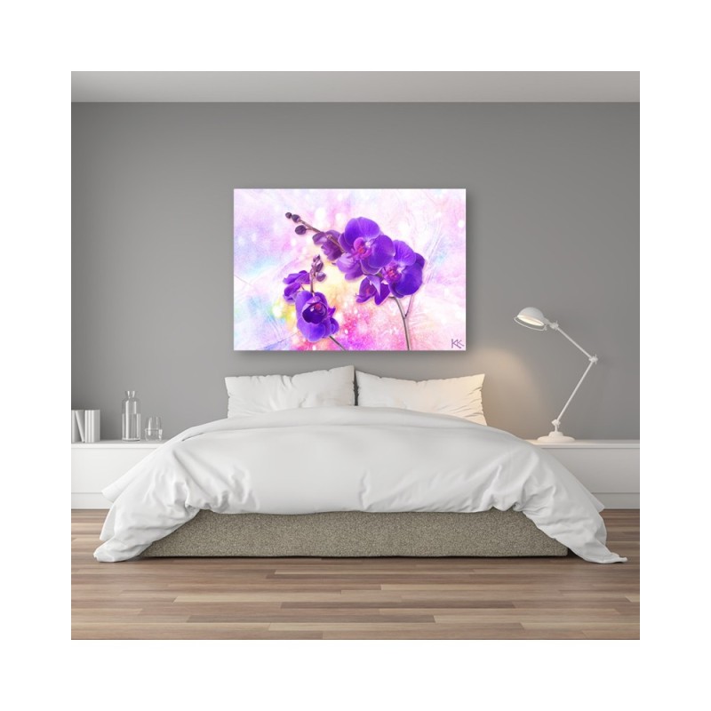 Bild auf Leinwand - Lila Orchideen Blumen | Feeby