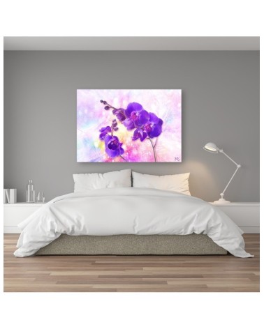 Bild auf Leinwand - Lila Orchideen Blumen | Feeby