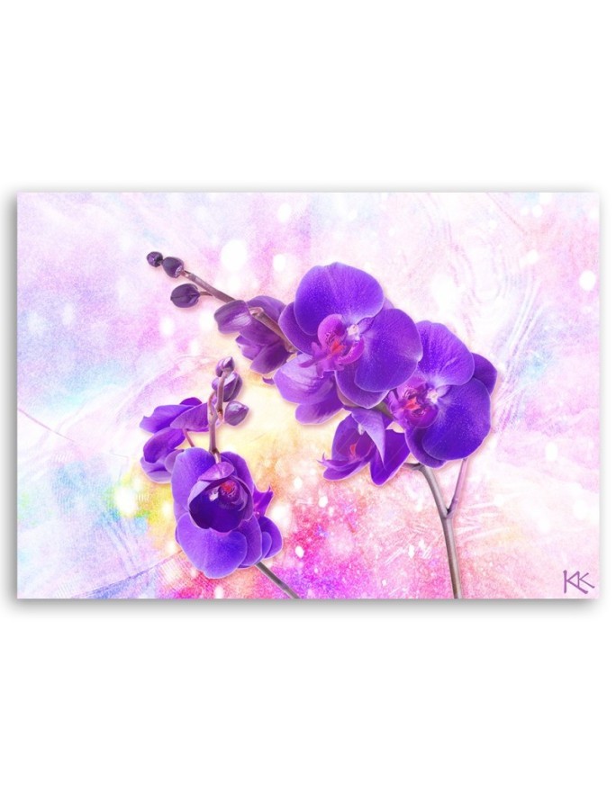 Fioletowy kwiat orchidei - Obraz do salonu | FEEBY