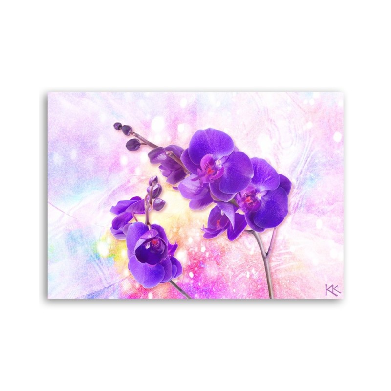 Bild auf Leinwand - Lila Orchideen Blumen | Feeby