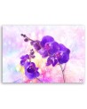 Fioletowy kwiat orchidei - Obraz do salonu | FEEBY