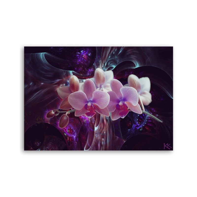 Wandbild für Wohnzimmer - Weiße Orchidee Blumen Pflanzen | Feeby