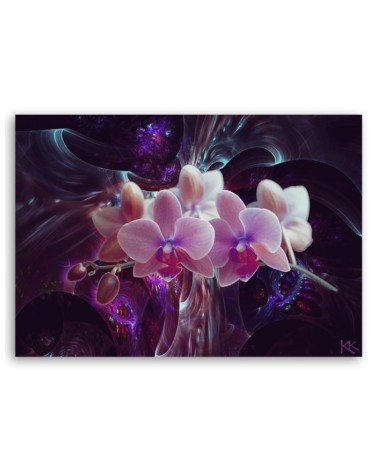 Wandbild für Wohnzimmer - Weiße Orchidee Blumen Pflanzen | Feeby