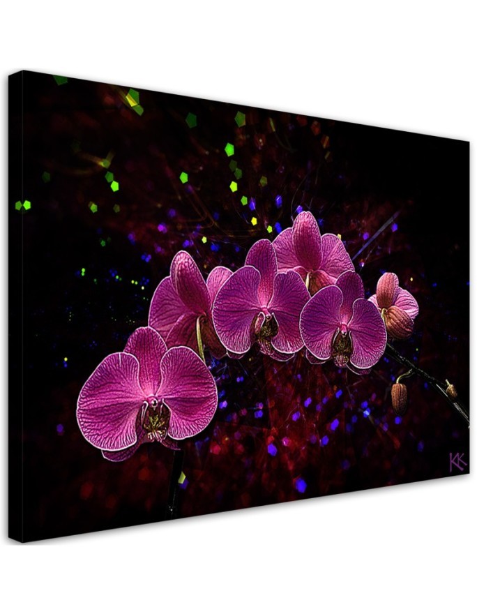 Obraz na płótnie canvas - Orchidea na ciemnym tle | FEEBY