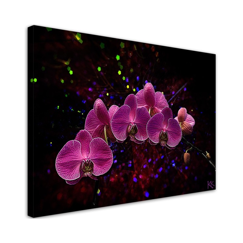 Obraz na płótnie canvas - Orchidea na ciemnym tle | FEEBY
