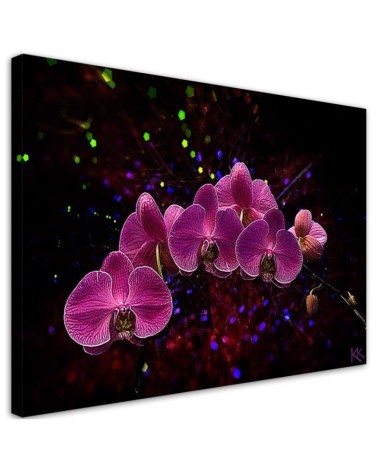 Dekoratives Leinwandbild - Orchidee Rosa Blumen Spa | Feeby