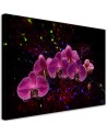 Obraz na płótnie canvas - Orchidea na ciemnym tle | FEEBY