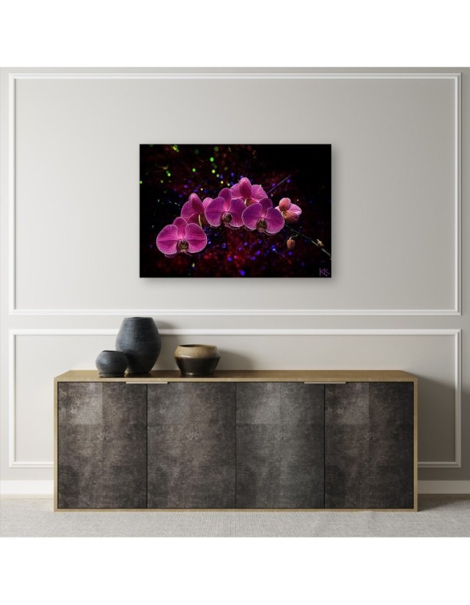 Obraz na płótnie canvas - Orchidea na ciemnym tle | FEEBY