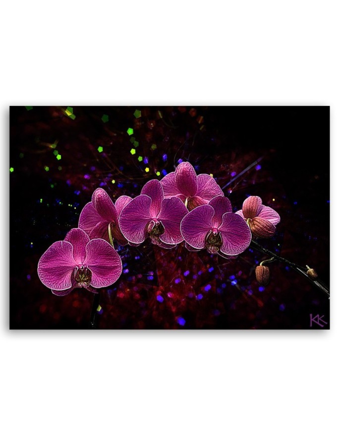 Obraz na płótnie canvas - Orchidea na ciemnym tle | FEEBY