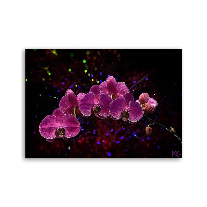 Dekoratives Leinwandbild - Orchidee Rosa Blumen Spa | Feeby