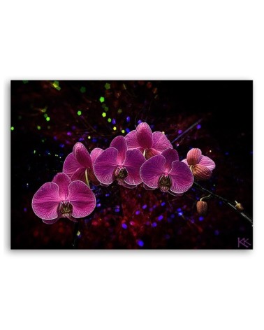 Dekoratives Leinwandbild - Orchidee Rosa Blumen Spa | Feeby