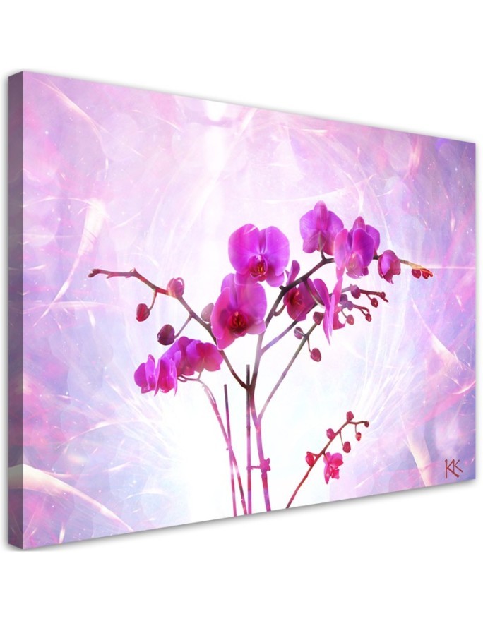 Modernes Wandbild - Orchidee Blumen Zen Spa | Feeby