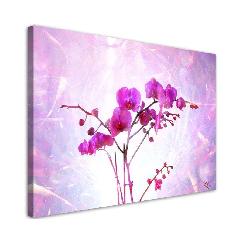 Modernes Wandbild - Orchidee Blumen Zen Spa | Feeby