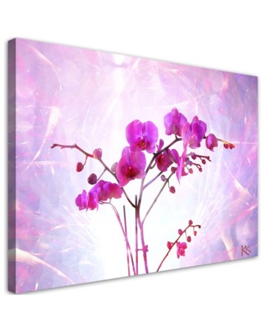 Modernes Wandbild - Orchidee Blumen Zen Spa | Feeby
