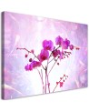 Obraz na płótnie canvas - Eteryczna orchidea | FEEBY