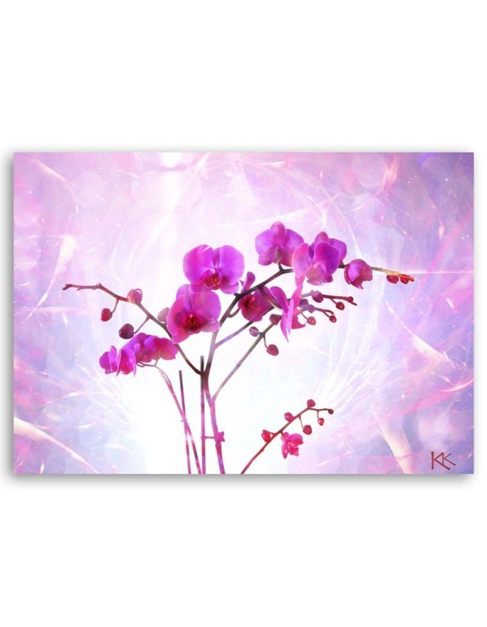 Obraz na płótnie canvas - Eteryczna orchidea | FEEBY