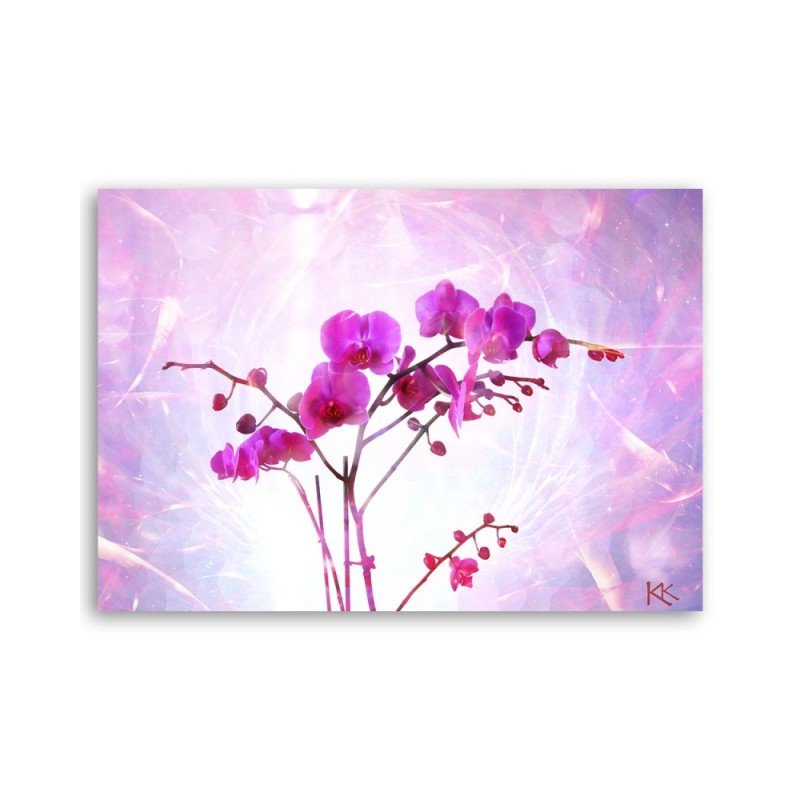 Modernes Wandbild - Orchidee Blumen Zen Spa | Feeby