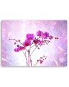 Obraz na płótnie canvas - Eteryczna orchidea | FEEBY