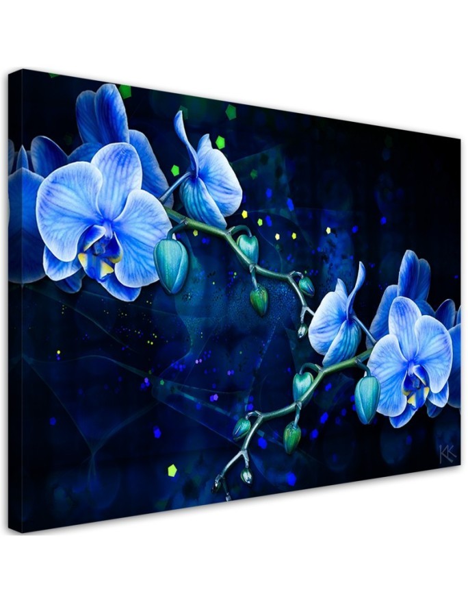 Leinwanddruck - Blaue Orchideenblume | Feeby