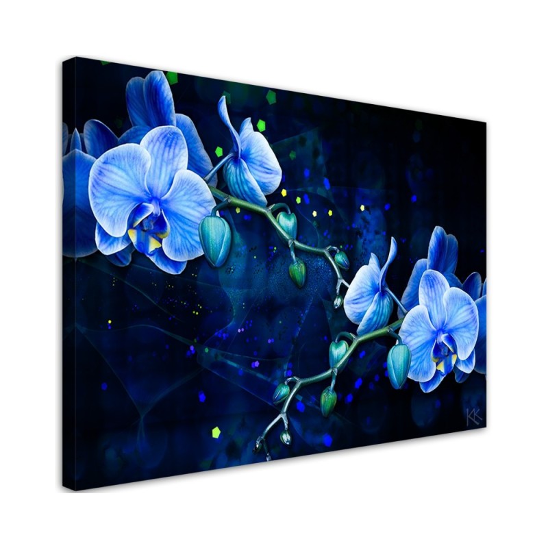 Leinwanddruck - Blaue Orchideenblume | Feeby