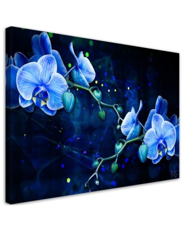 Leinwanddruck - Blaue Orchideenblume | Feeby