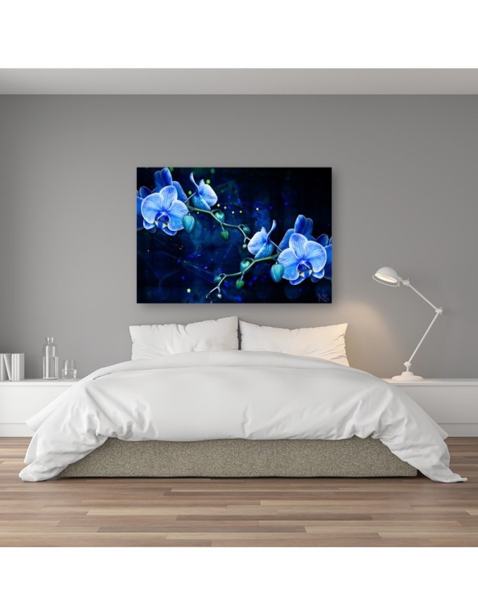 Obraz na płótnie canvas - Niebieski kwiat orchideii | FEEBY