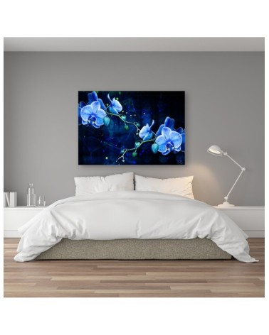 Leinwanddruck - Blaue Orchideenblume | Feeby