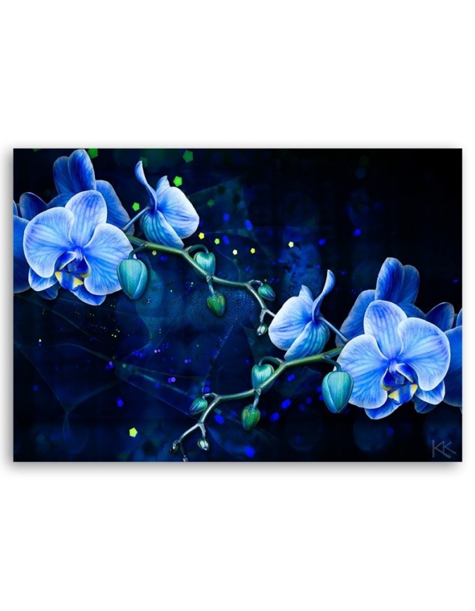Obraz na płótnie canvas - Niebieski kwiat orchideii | FEEBY