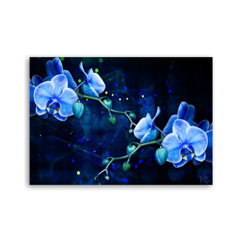 Leinwanddruck - Blaue Orchideenblume | Feeby
