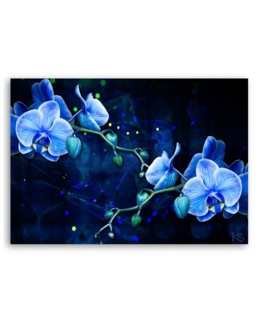 Leinwanddruck - Blaue Orchideenblume | Feeby